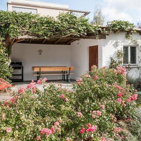 Haus Im Zentrum Mit Garten Villa Bregenz Eksteriør billede